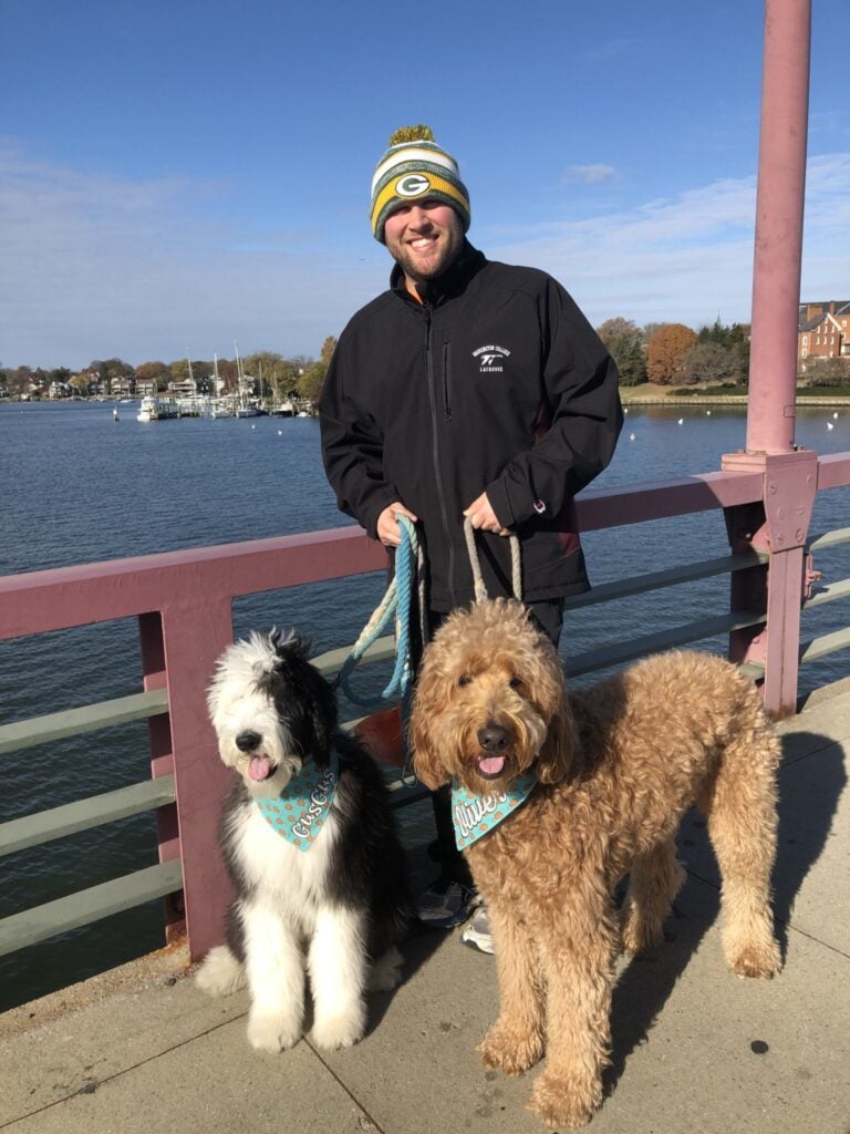 dogs