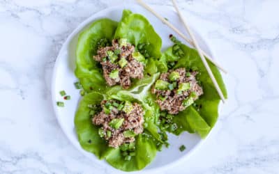 Salmon Avocado Lettuce Wraps