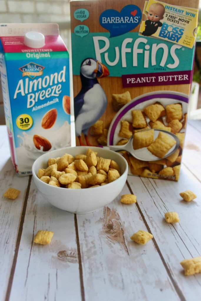 Low FODMAP Breakfast Cereal
