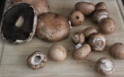 Blended Burger? The Lowdown on Blenditarian and Why it’s so Good