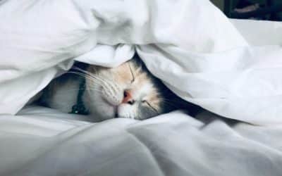 Natural Remedies to Sleep Better