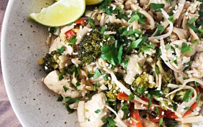 Low FODMAP Recipes to Manage IBS