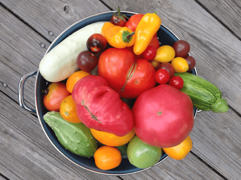 veggies for kids