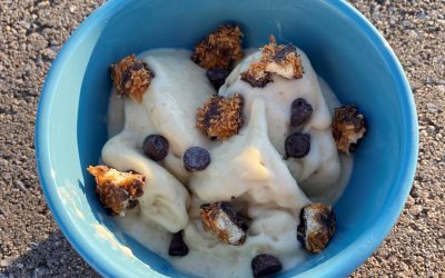 How to Make Delicious Nice Cream in Minutes