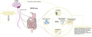 gut health nutrition stress
