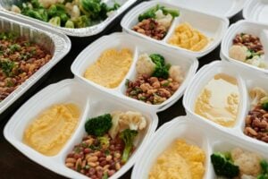 renal diet meal delivery diabetes friendly meal delivery